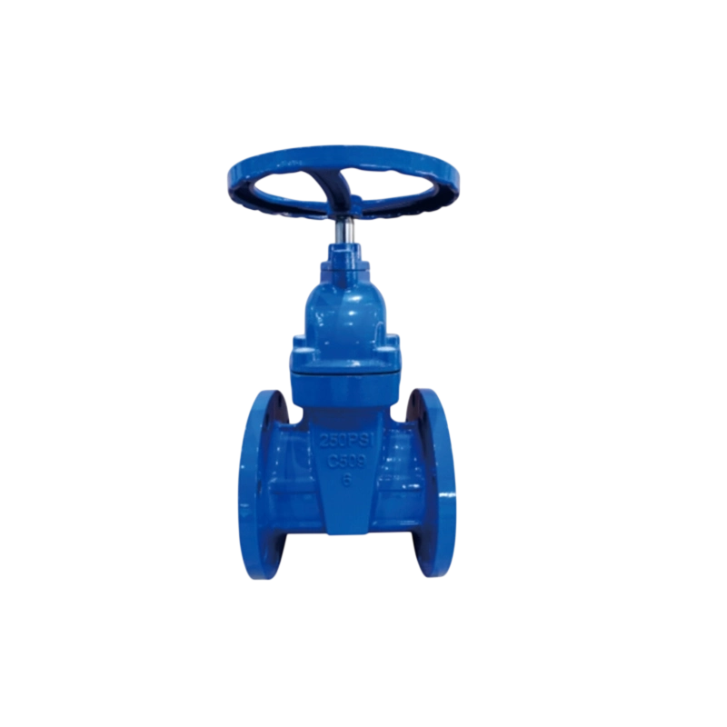 AWWA C509/C515 Non-rising Resilient Gate Valve Z45X