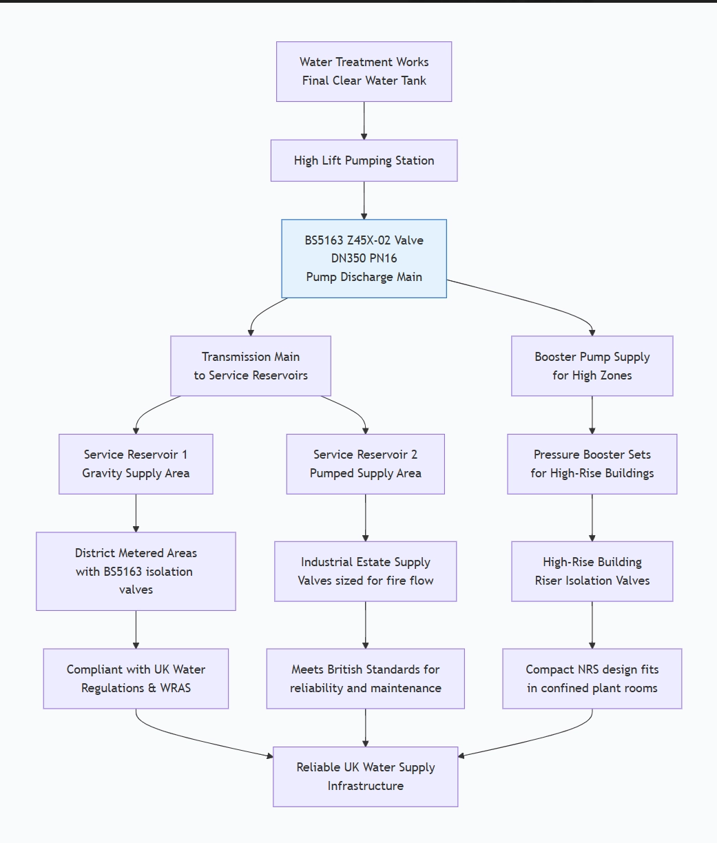 BS5163 Flanged Resilient Seated NRS Gate Valve