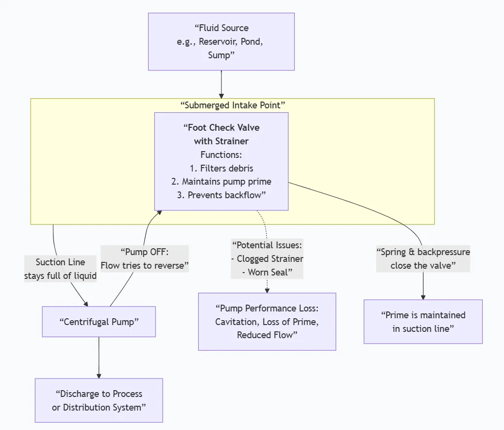 Check Valve with Strainer