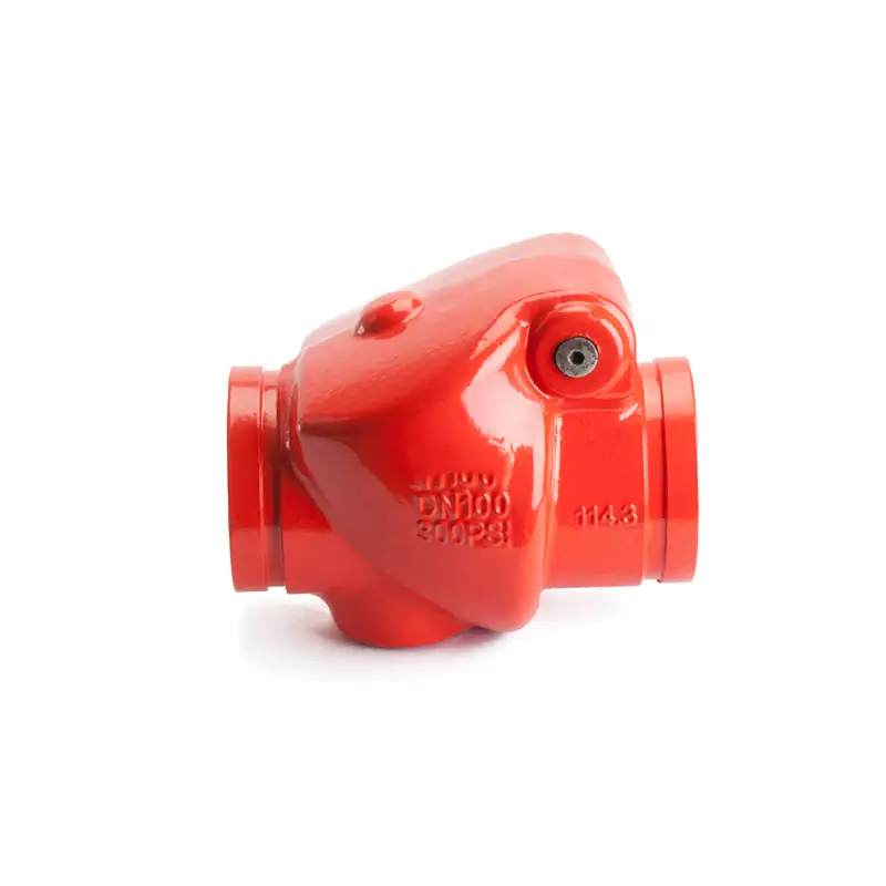 Grooved Swing Check Valve