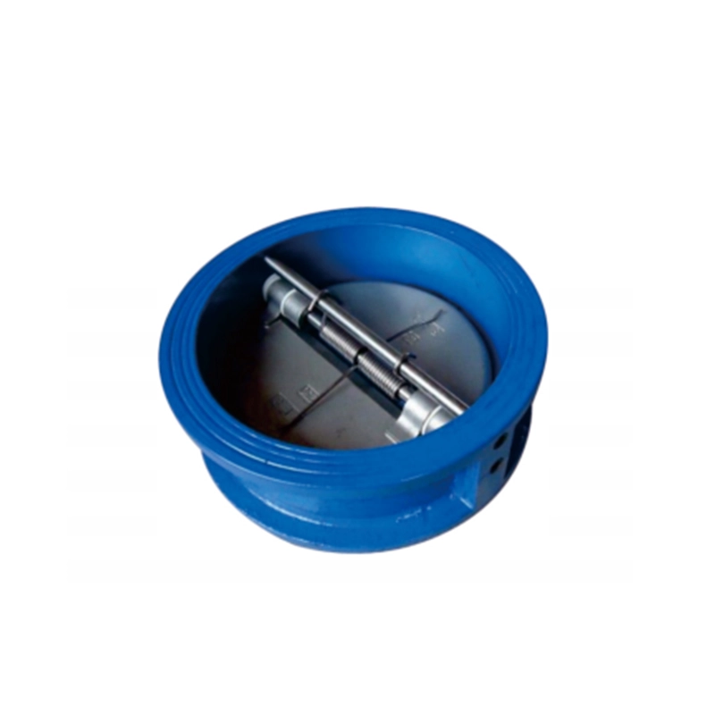 Dual Plate Check Valve