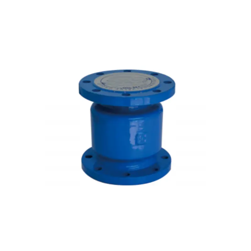HC41X Flanged Silencing Check Valve