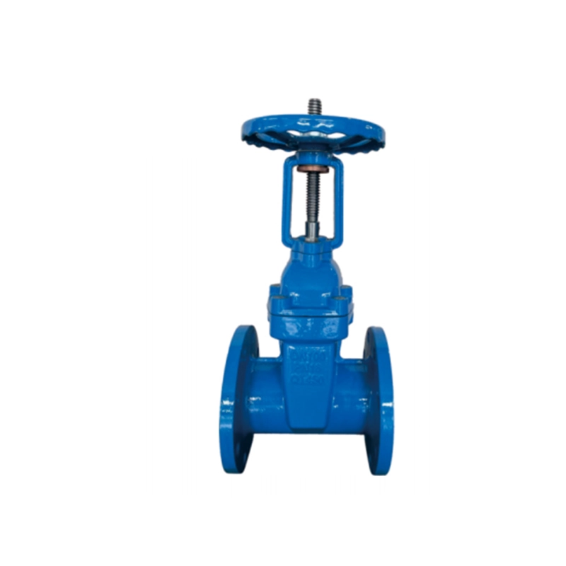 Rising Resilient Seat Gate Valve Z41X