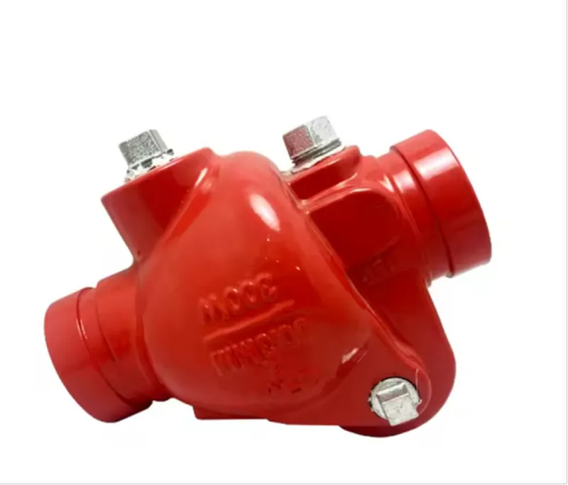 Check Valve