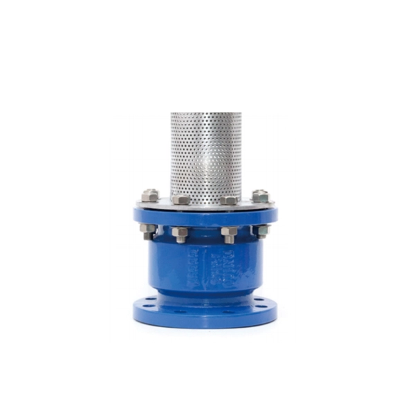 HC42X Flanged End Foot Valve.png HC42X Flanged End Foot Valve
